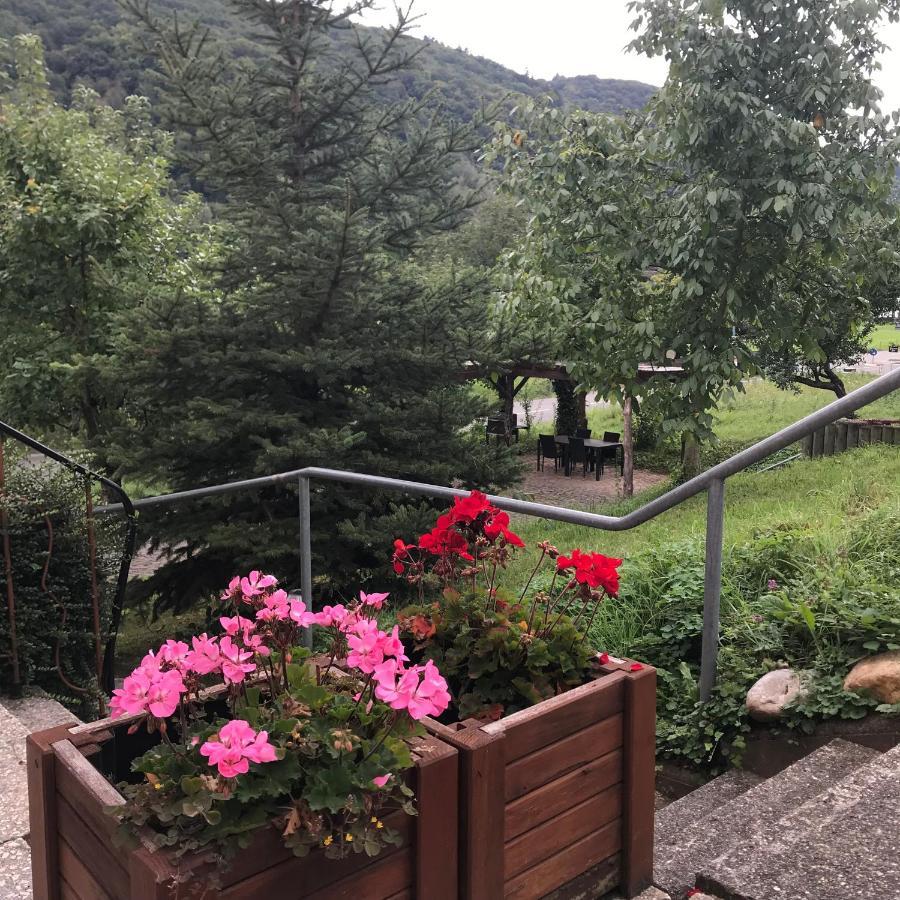 Moselina Gaestezimmer Sankt Aldegund Εξωτερικό φωτογραφία