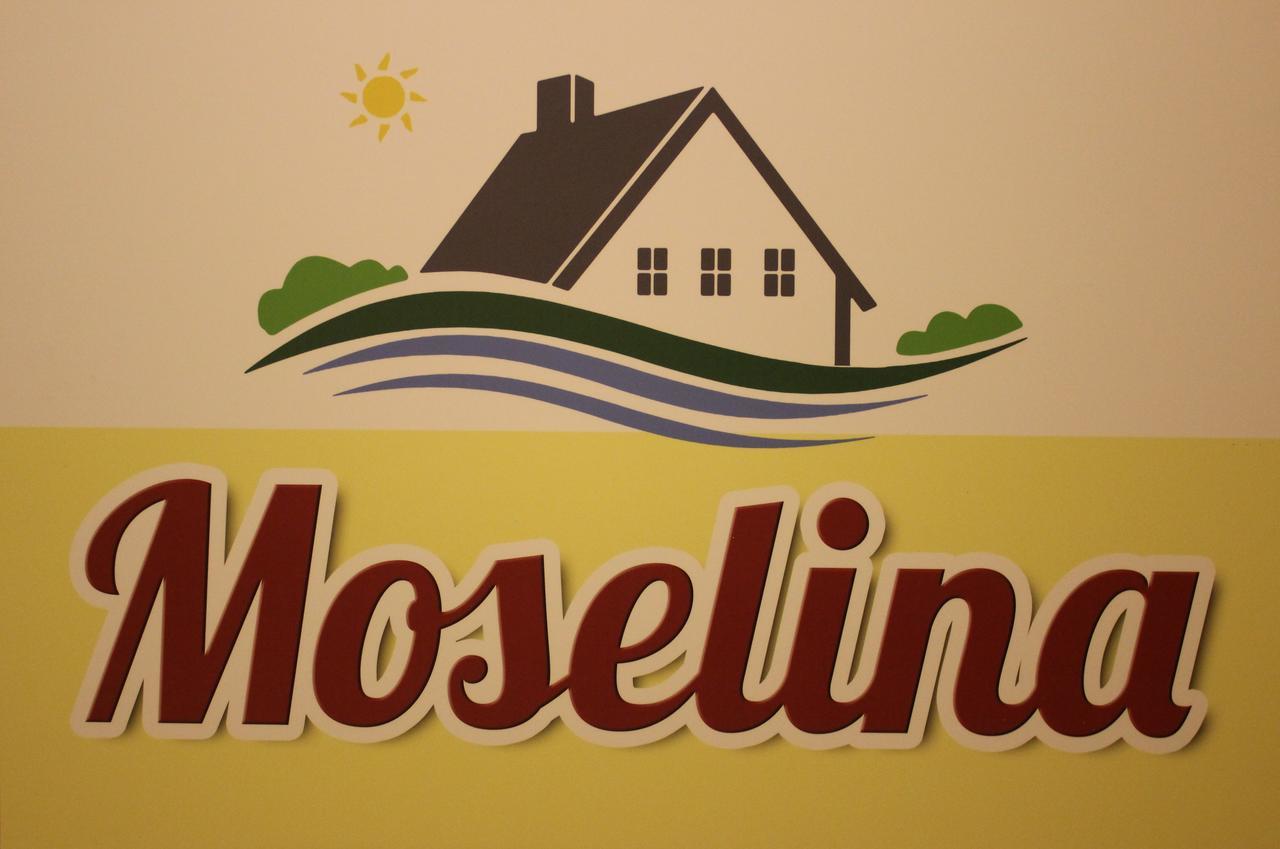 Moselina Gaestezimmer Sankt Aldegund Εξωτερικό φωτογραφία